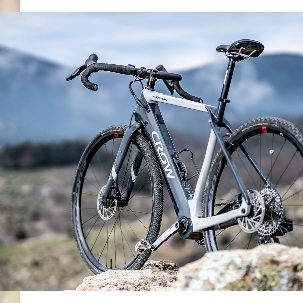Discover the World of Fazua with Crow Bicycles - crowbicycles